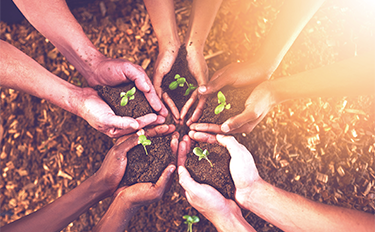 ������Ե(�й���)�ٷ���վ