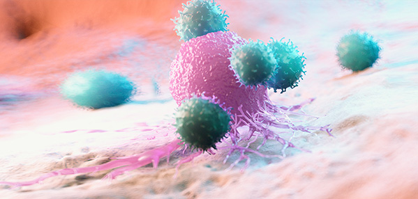 ������Ե(�й���)�ٷ���վ