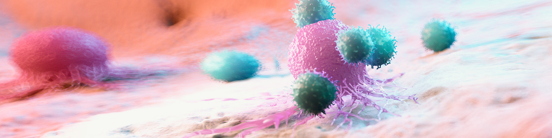 ������Ե(�й���)�ٷ���վ