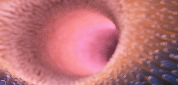 ������Ե(�й���)�ٷ���վ