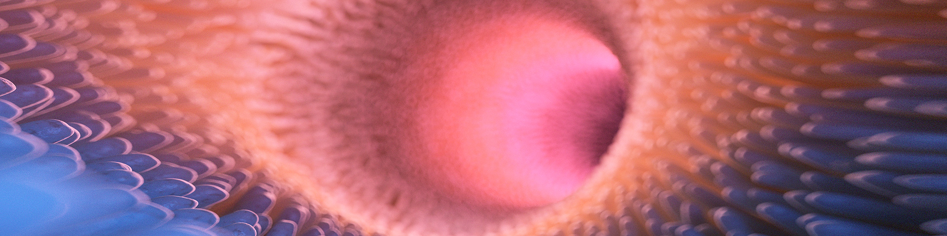 ������Ե(�й���)�ٷ���վ