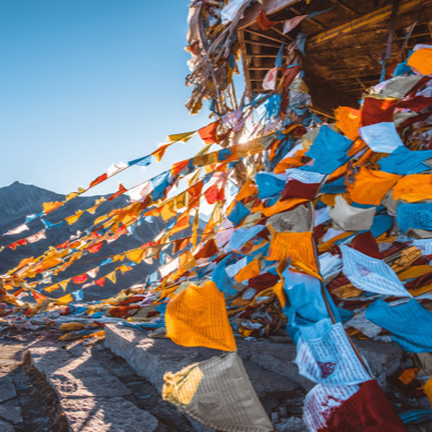 ������Ե(�й���)�ٷ���վ