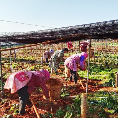 ������Ե(�й���)�ٷ���վ